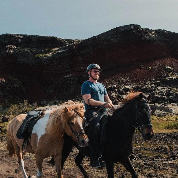 horseback riding guide leading an Icelandic horse