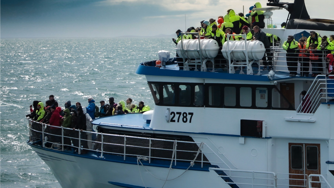 group of whale watchers on board a whale watching ship in iceland searching for humpbacks