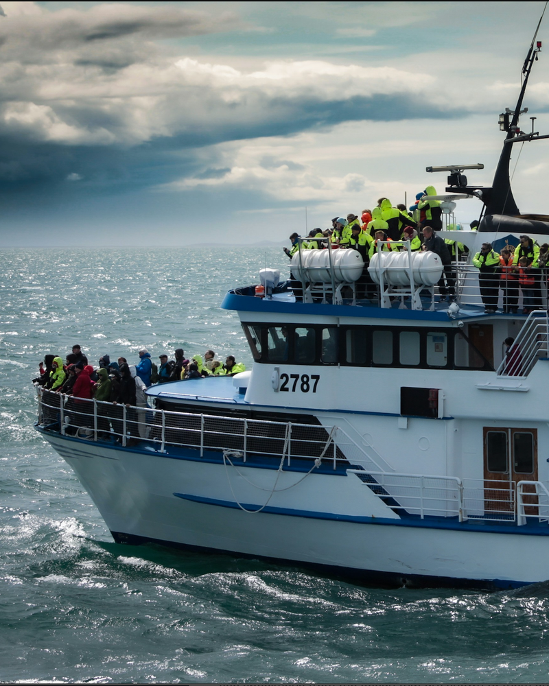 group of whale watchers on board a whale watching ship in iceland searching for humpbacks